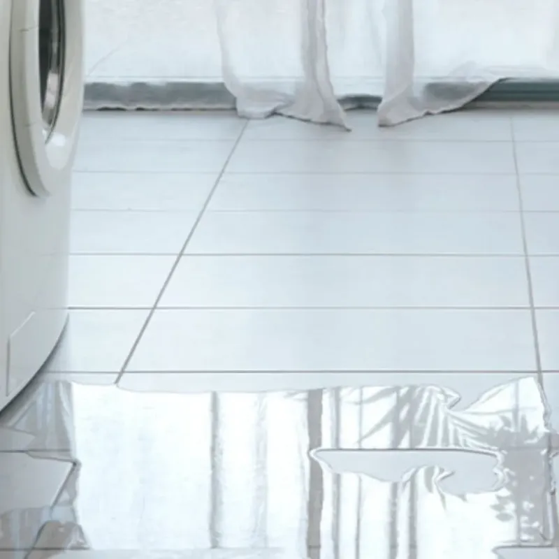 Appliance Leak Cleanup in Valparaiso, IN