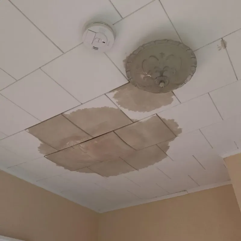 Ceiling Water Damage Repair in Valparaiso, IN