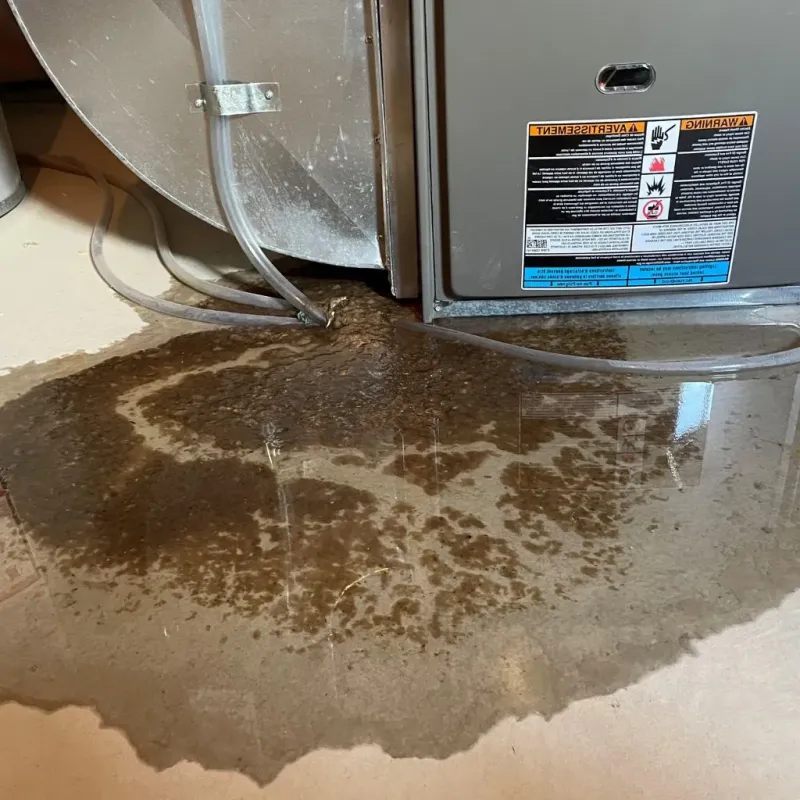 Pipe Burst and Leak Restoration in Valparaiso, IN